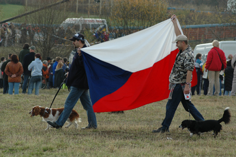 vlajka