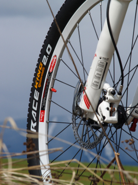 Mongoose Salvo Comp